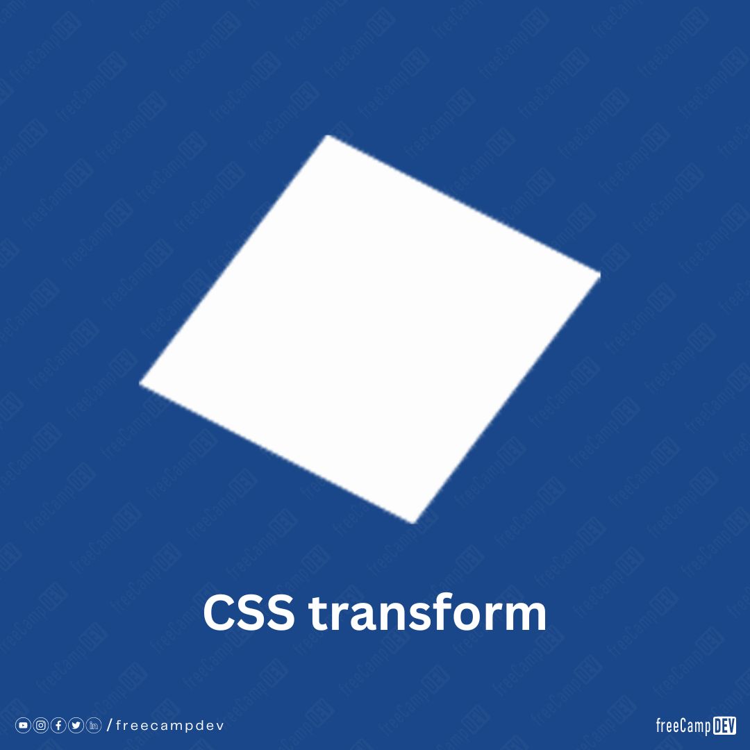 Css Transform Freecamp Dev