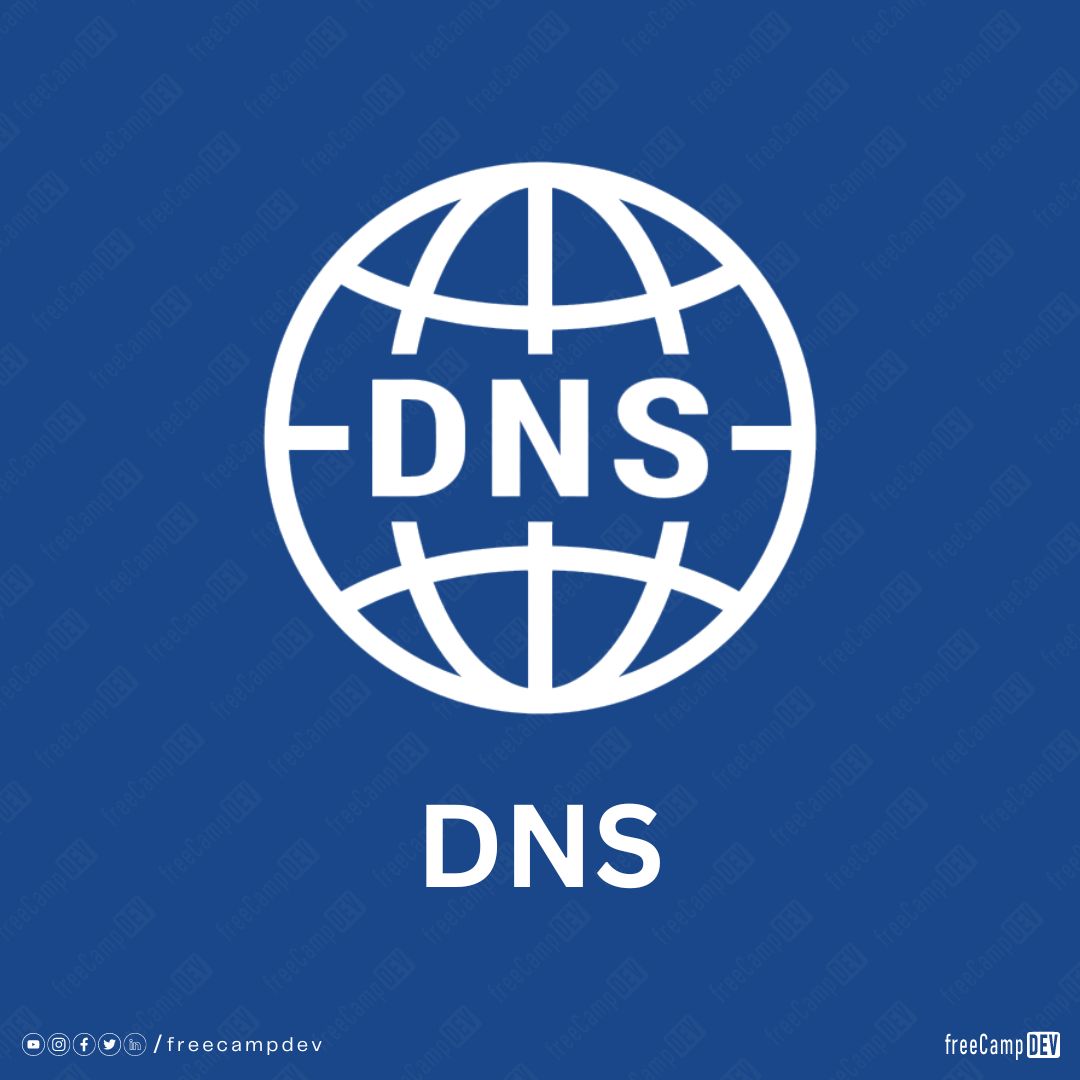 dns-freecamp-dev